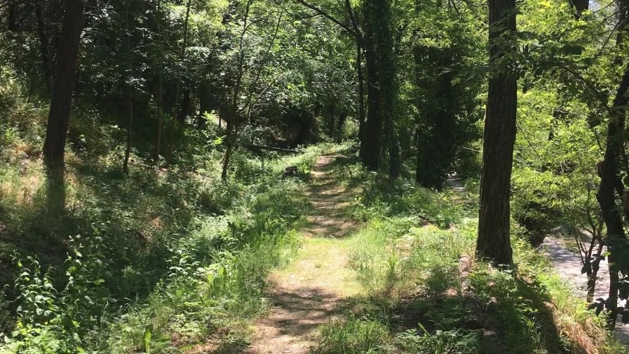 Camping La Corconne