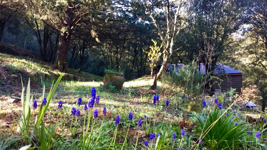 Camping La Corconne