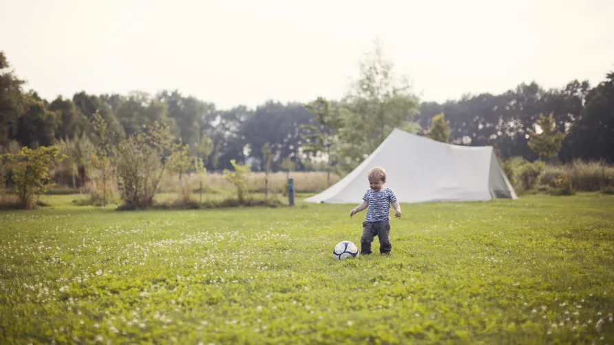 Camping Tikvah