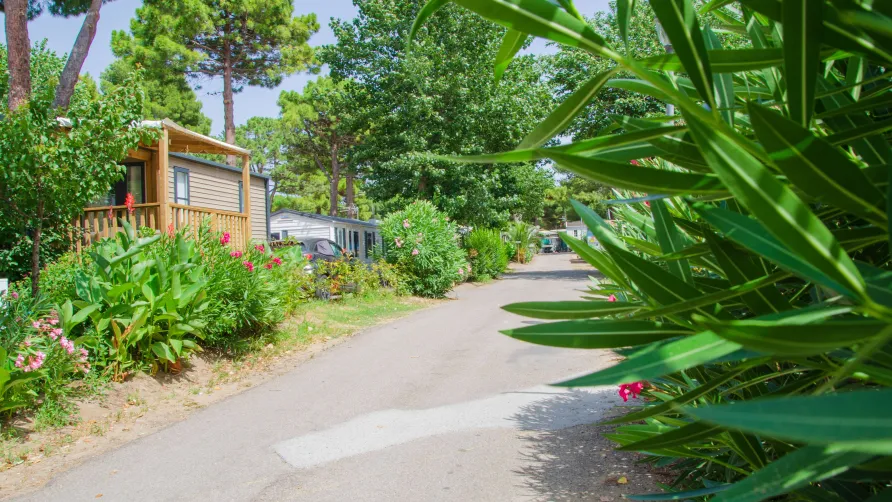 Camping Les Jardins d'Agathe Maeva Escapades