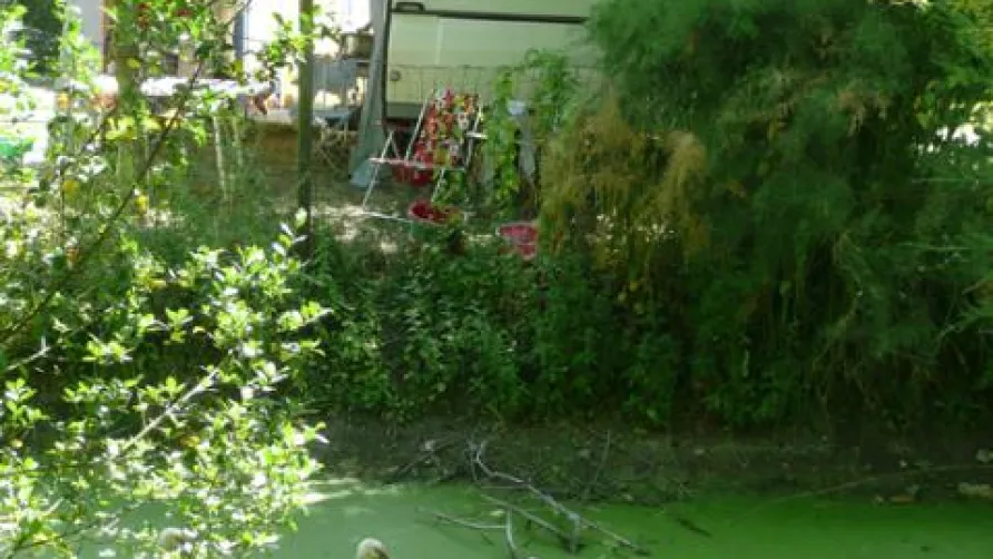 Camping L'Ile Cariot