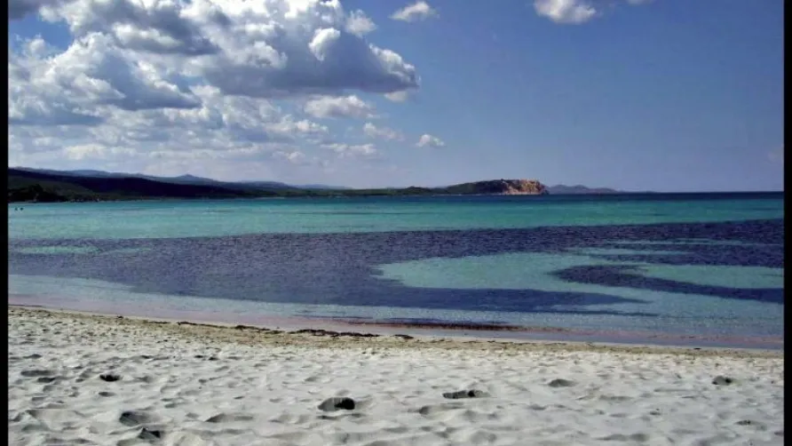 Camping La Liccia
