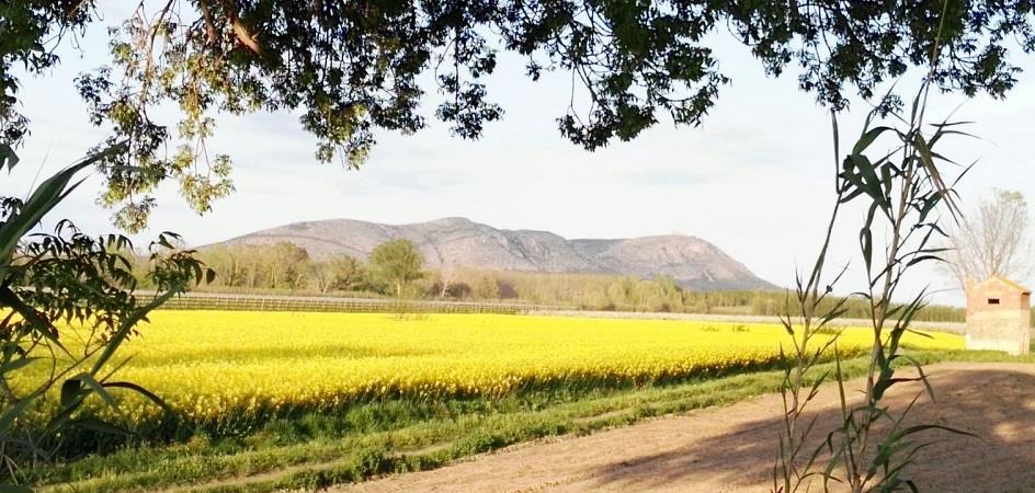 Camping Rural Montori