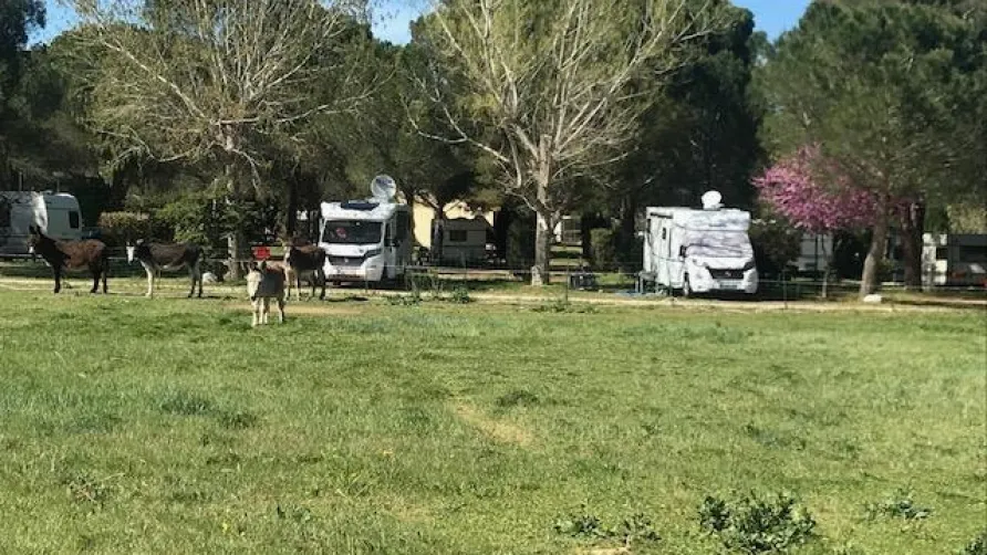 Camping Les Casteillets