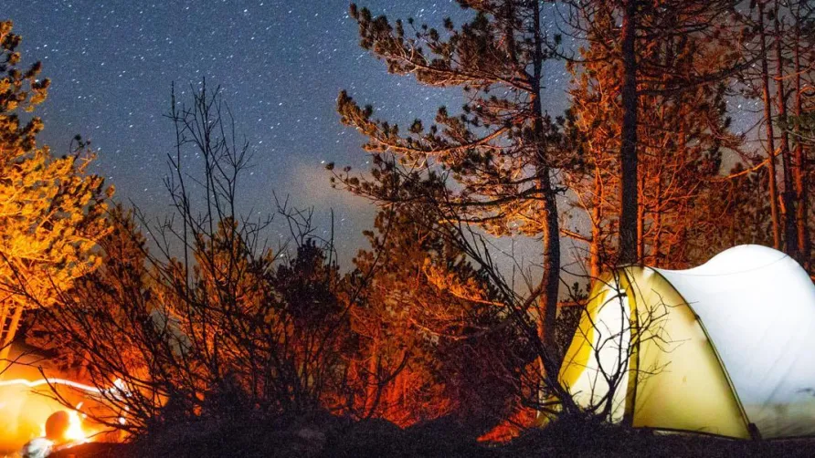 Flower Camping InNature