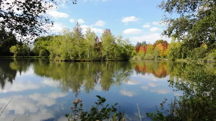 Camping L'Etang de Sologne