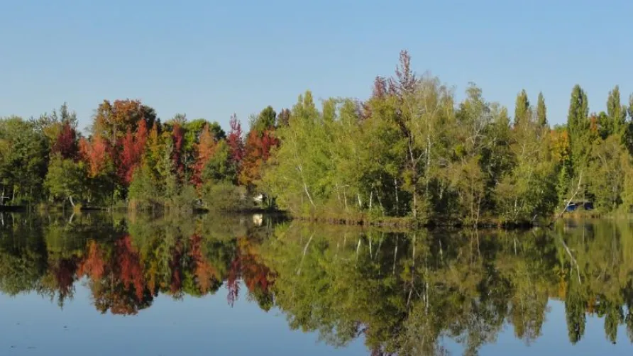 Camping L'Etang de Sologne