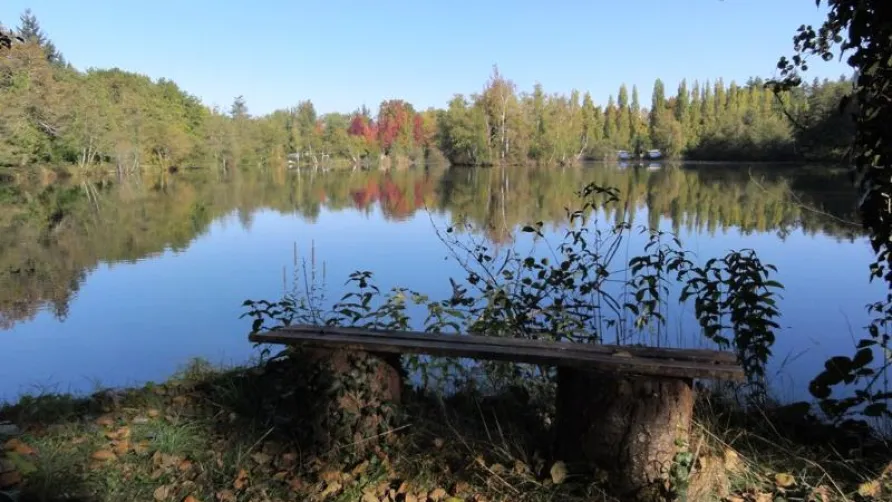 Camping L'Etang de Sologne