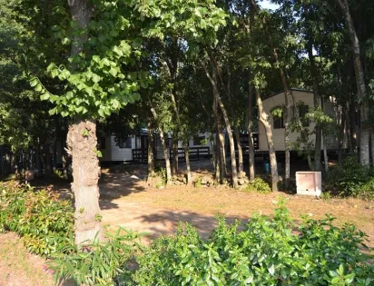 Camping Les Micocouliers