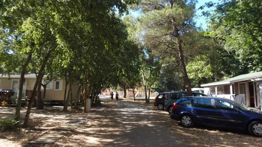 Camping Les Micocouliers