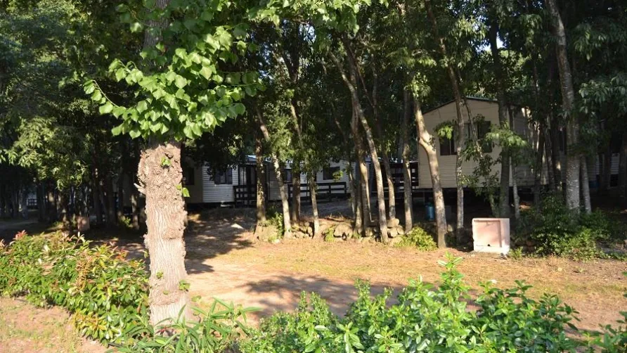 Camping Les Micocouliers