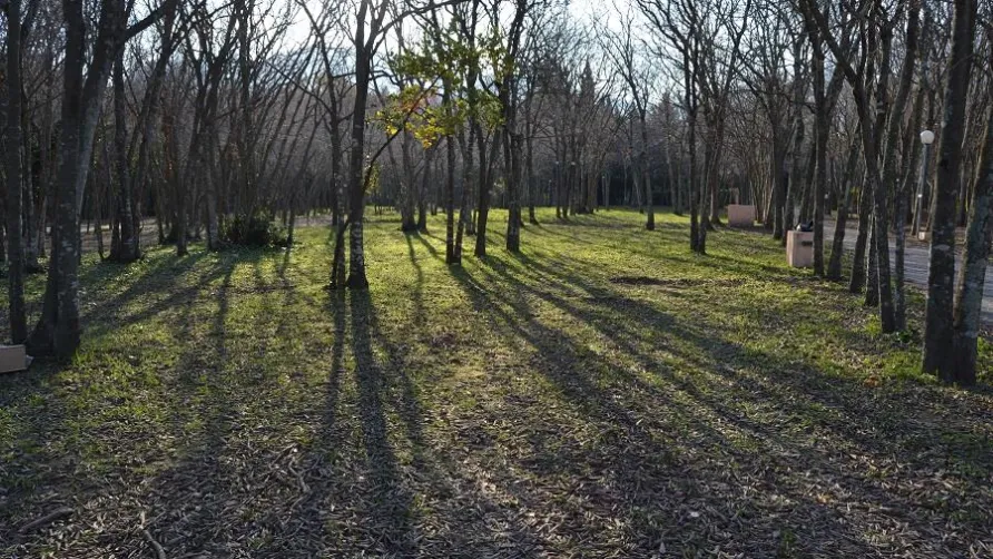 Camping Les Micocouliers