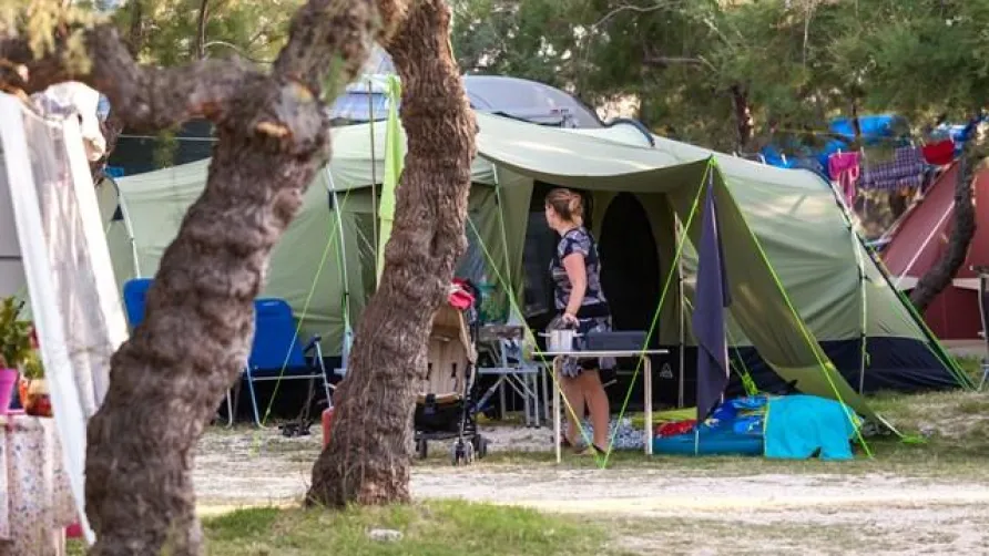 Camping Puntica