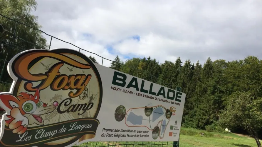 Camping Foxycamp