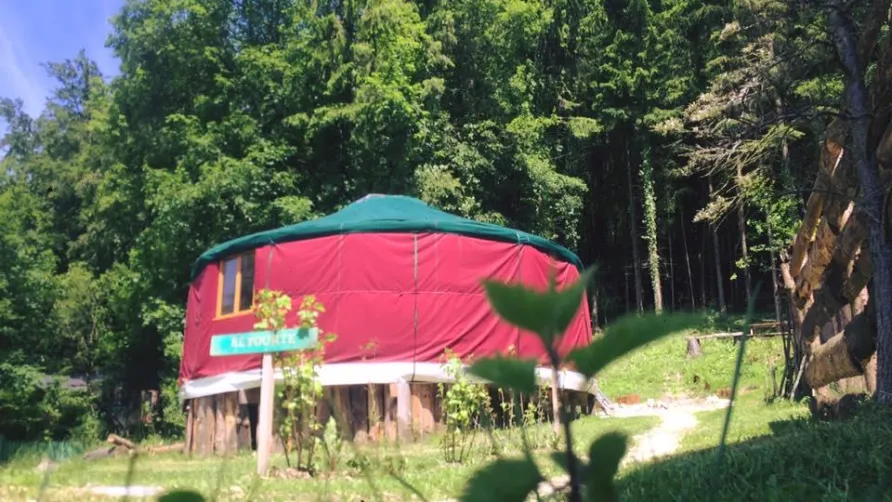 Camping Foxycamp