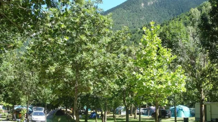 Camping La Mola