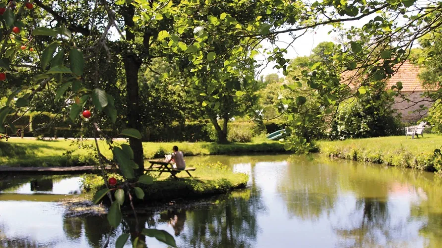 Camping Le Picard