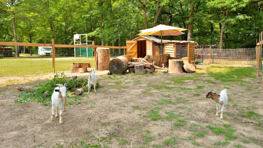 Camping Seasonova Etang de la Vallée