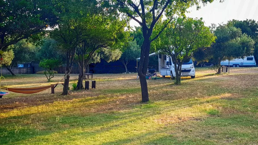 Camp Trstenica