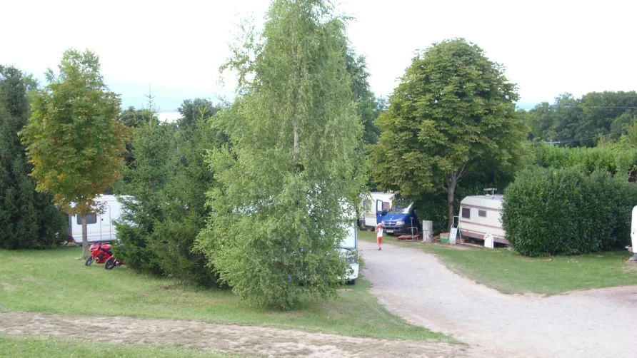 Camping l'Orée des Bois
