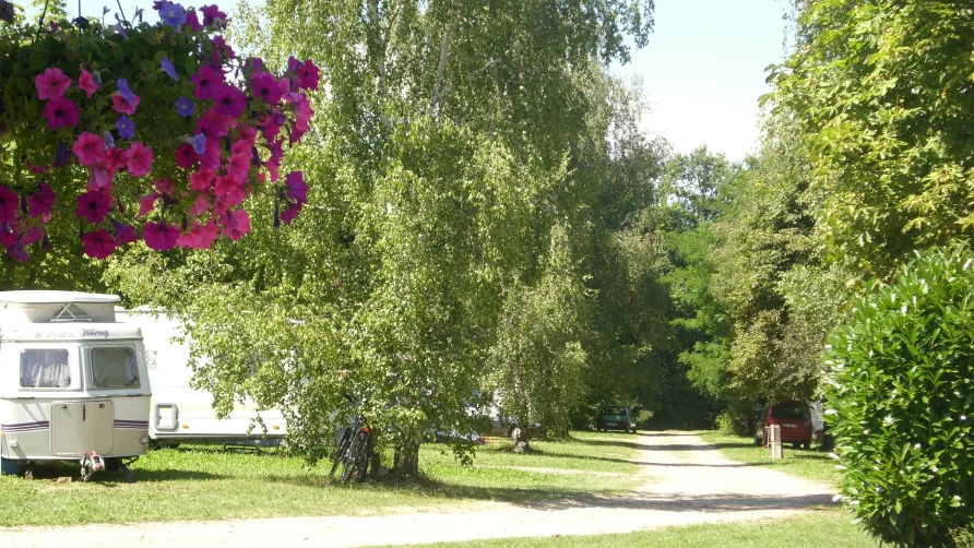 Camping l'Orée des Bois