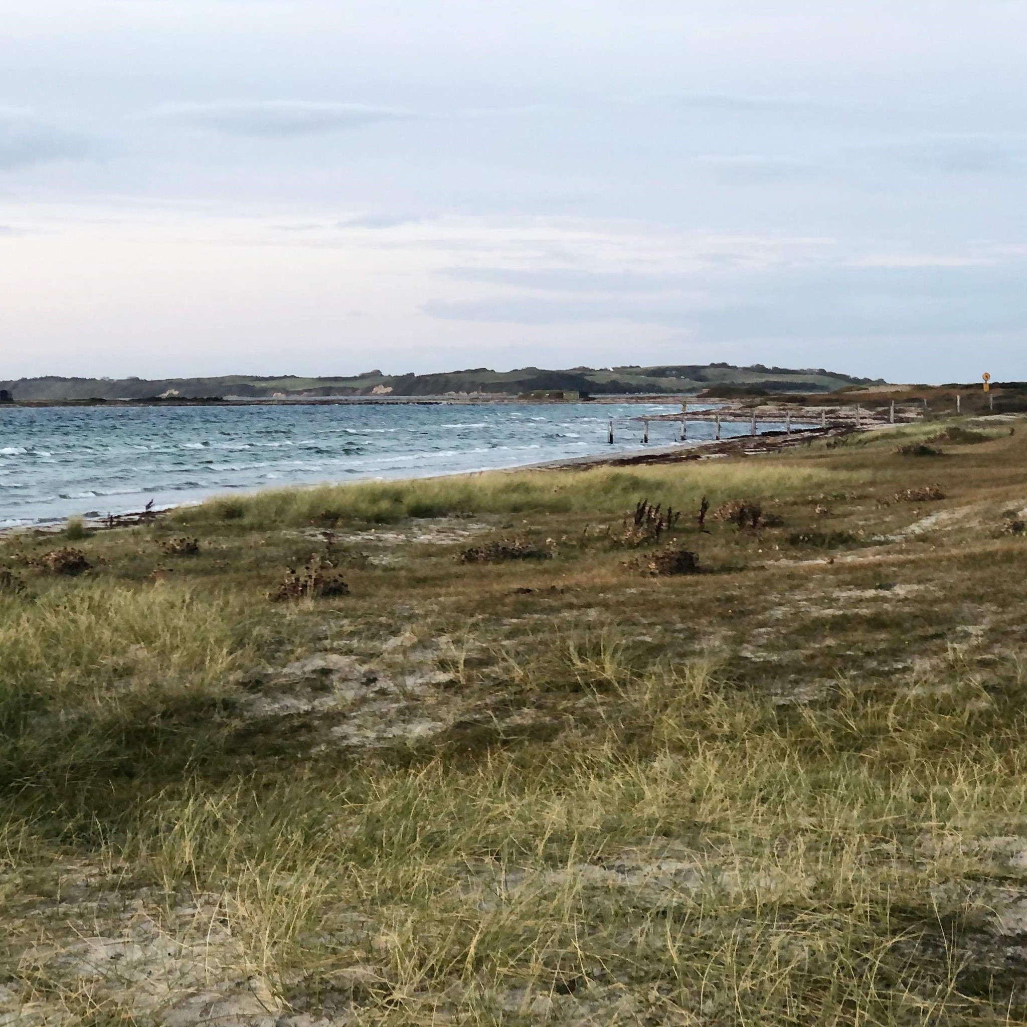 Vesterlyng Camping