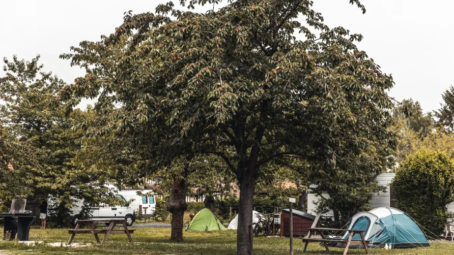 Camping de la Seine  ****