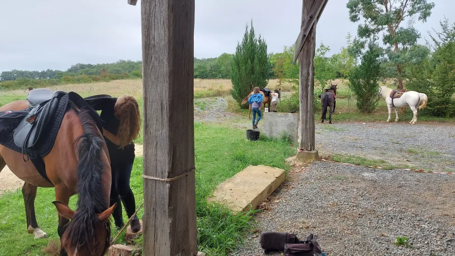 Camping Sileo (ex l'Anjou)