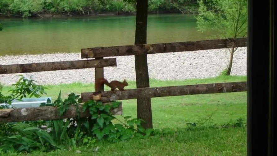 Camping Saint-Pal