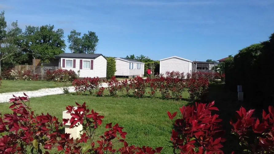 Camping Mas Llinas
