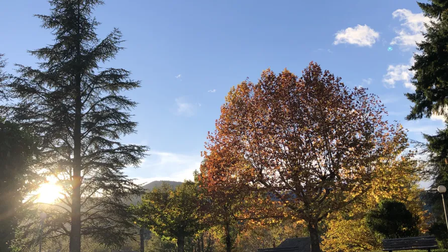 Domaine des Vans - Terres de France