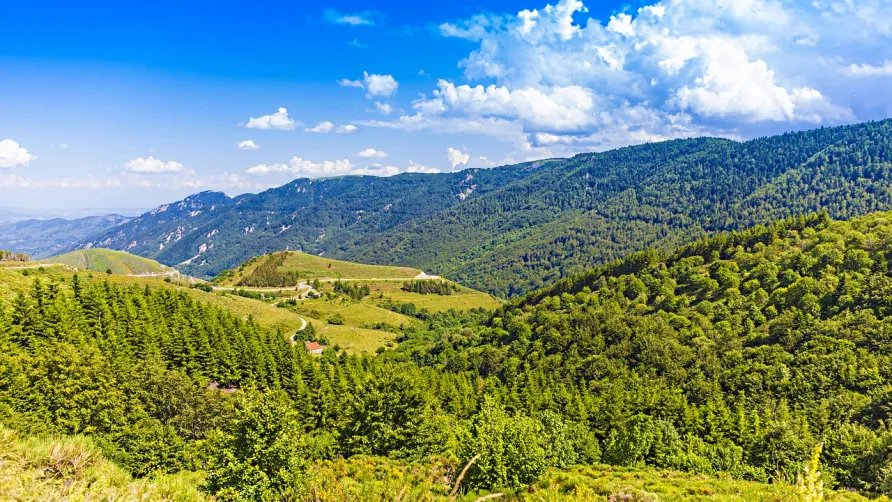 Domaine des Vans - Terres de France