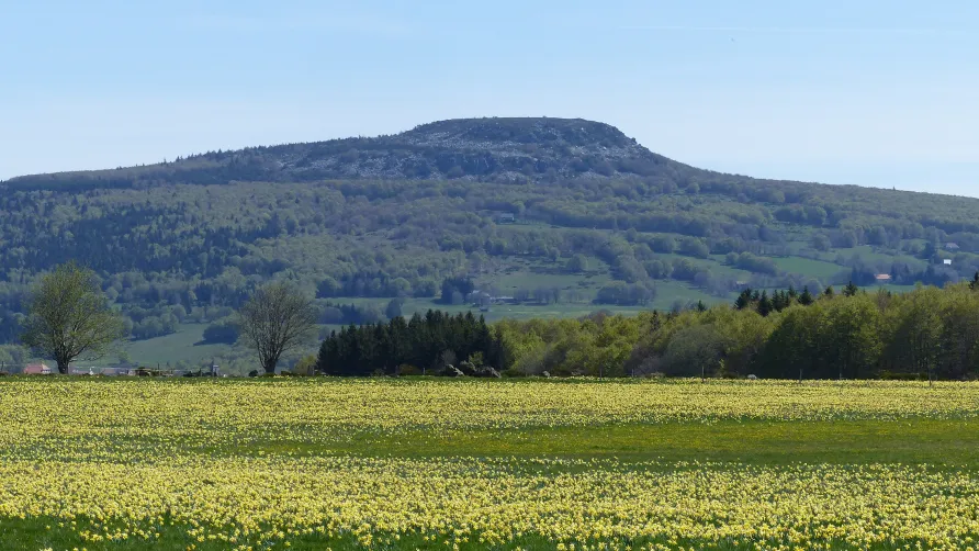 Domaine des Vans - Terres de France