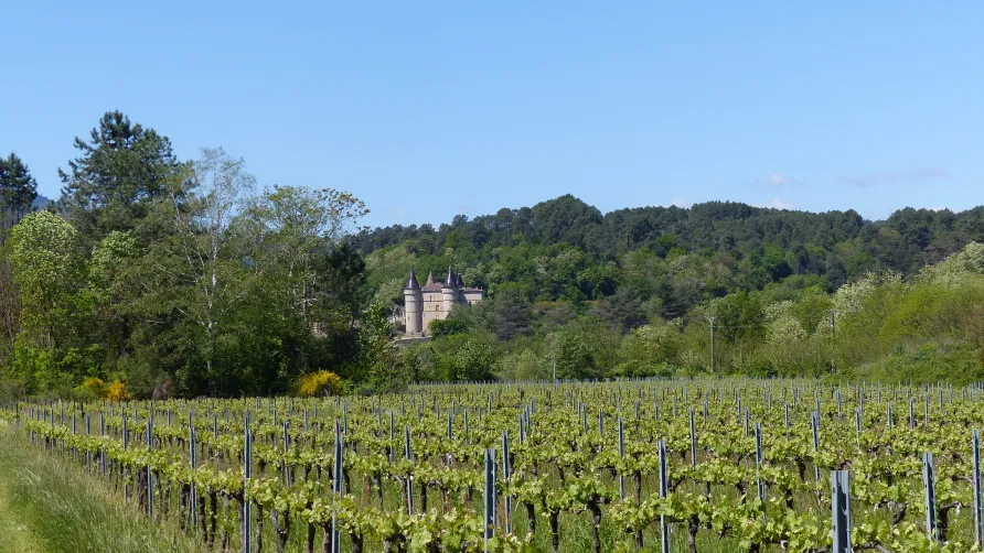 Domaine des Vans - Terres de France