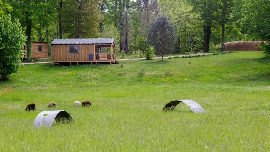 Camping La Clairière