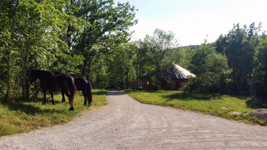 LES HAUTS D'ALBAS