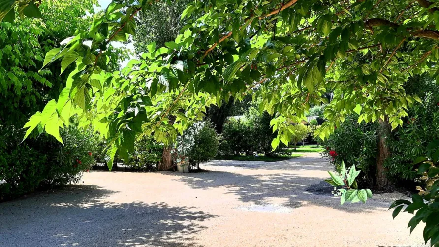 Camping Verbela village