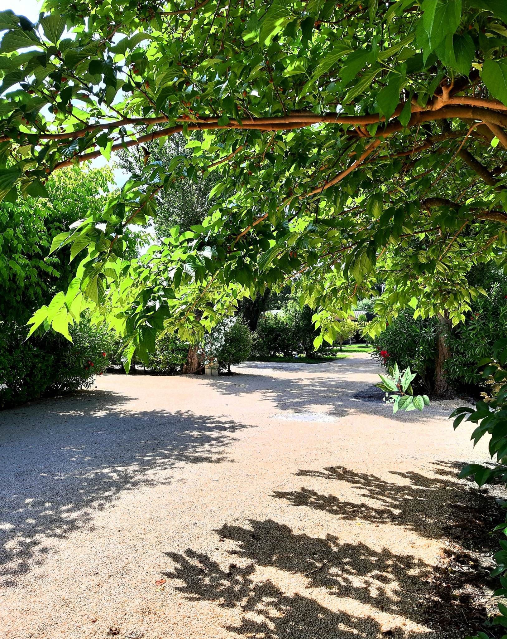 Camping Verbela village