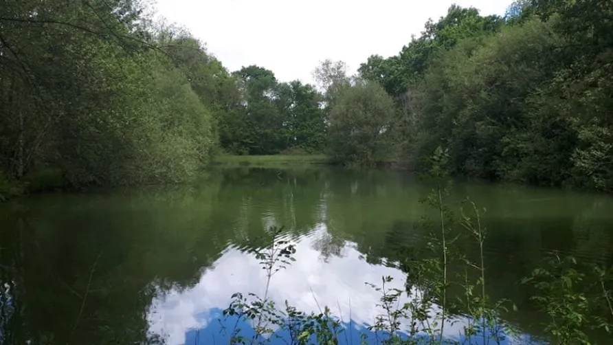 Camping de Bergougne