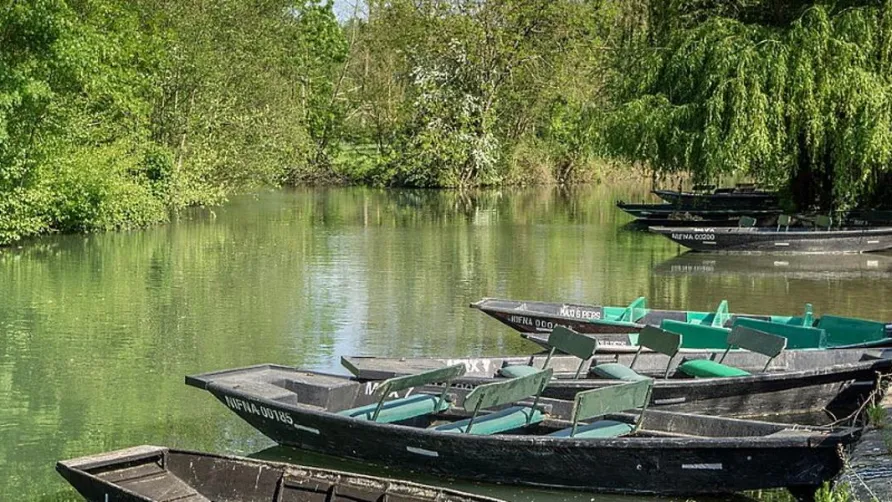 Camping du Bois Dinot