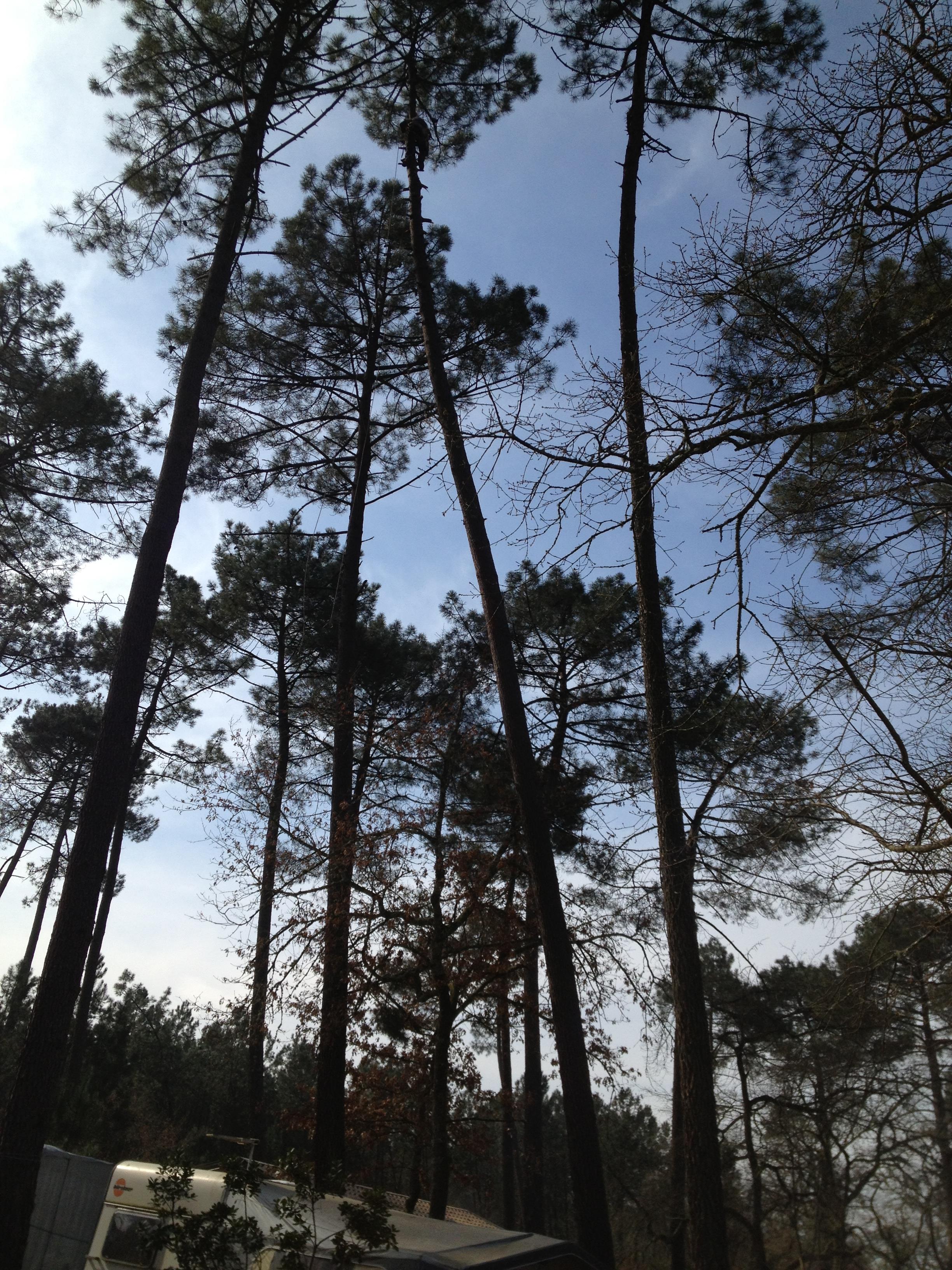 Camping Vert Bord'Eau