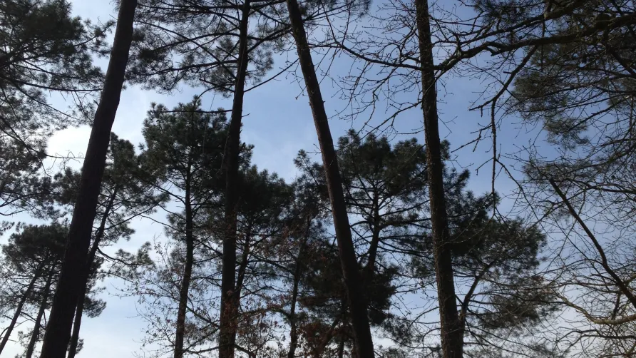 Camping Vert Bord'Eau
