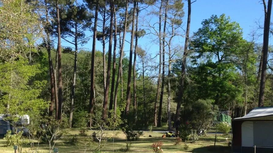 Camping Vert Bord'Eau
