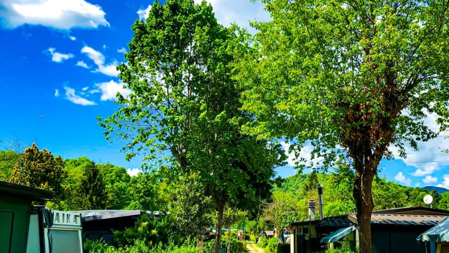 Camping Montorfano