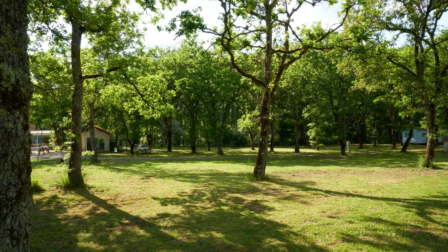 Camping Les Paillotes