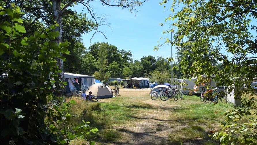 Camping Ommerland