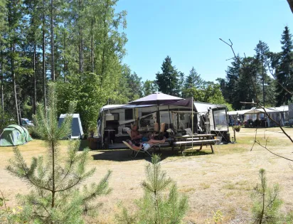 Camping Ommerland