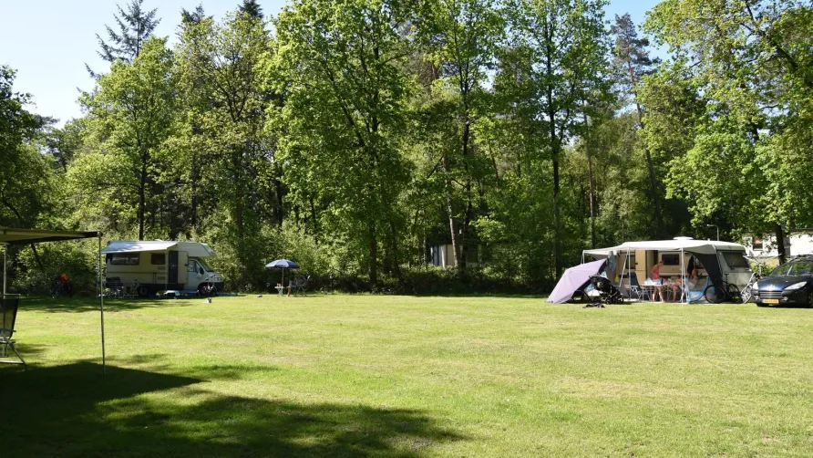 Camping Ommerland