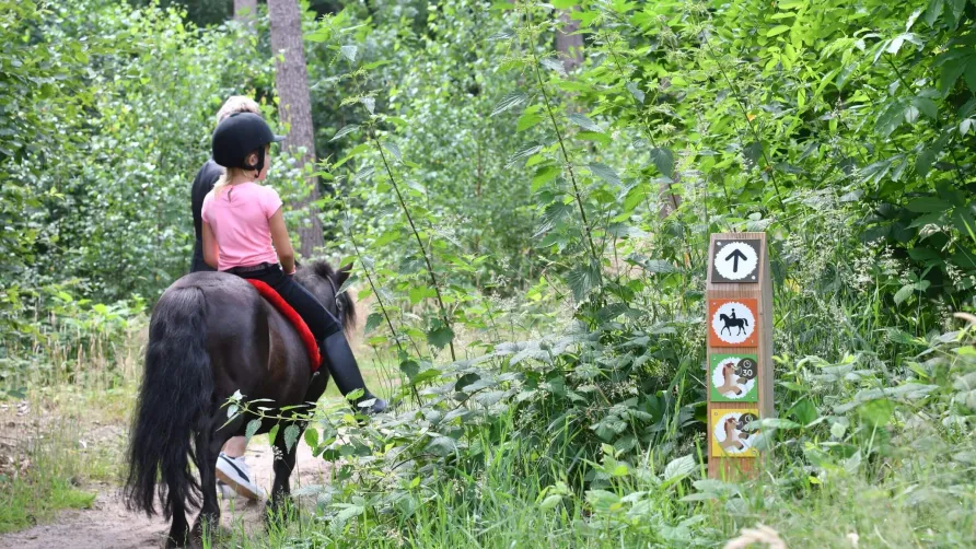 Camping Ommerland