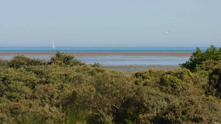 Camping la Plage